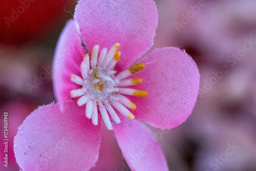 Delicate, artificial pink flower, showcasing intricate details and a soft, blurred background