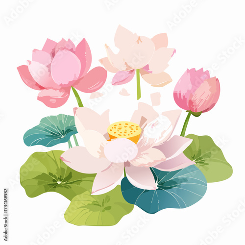A watercolor illustration of lotus flowers with soft pink petals and green leaves isolated on a pure white background.