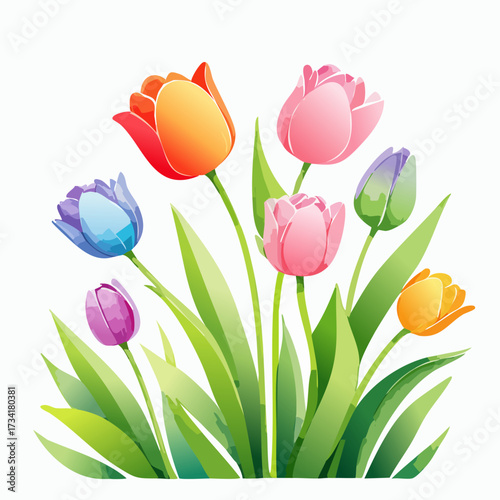 A watercolor illustration of spring tulips with long green stems and colorful blossoms isolated on a clean white background.