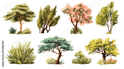 Savannah Vegetation Vector Set Flat Illustration