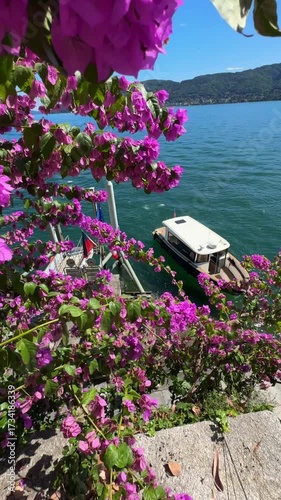 Bright purple flowering bush by Lake Como, Italy, with moored white boat. Sunny day, calm turquoise water, serene lakeside scenery, cinematic summer landscape, vibrant Mediterranean colors