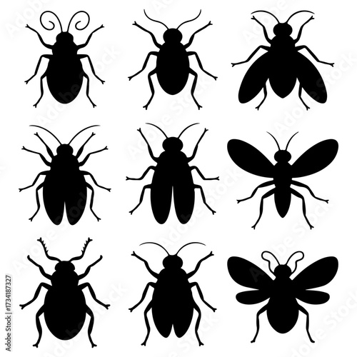 Set of insect black silhouette on isolated different style with white background