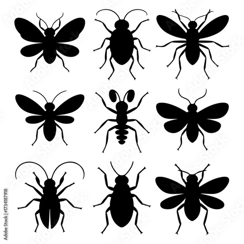 Collection of insect silhouette on isolated different style