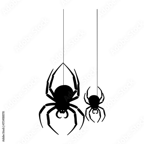 Black silhouette of two spiders hanging and crawling isolated on transparent background