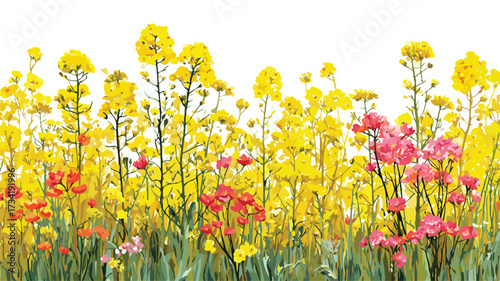 Vibrant Spring Canola Oilseed Field Meadow Blooming Flowers EPS Vector Illustration