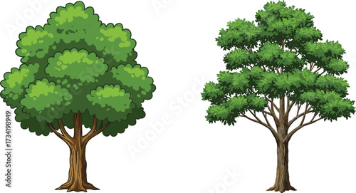 Green tree, natural foliage, summer forest, eco friendly nature, isolated outdoor element, landscape decoration, garden plant design, cad drawing flat vector illustration