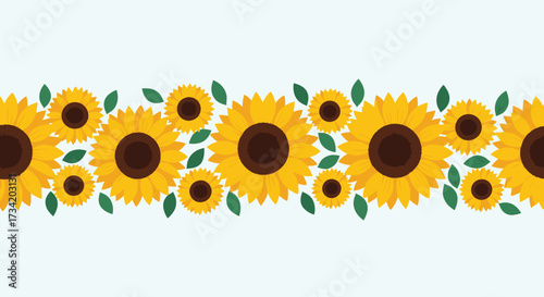 A beautiful decorative border of sunflowers in various sizes with green leaves.