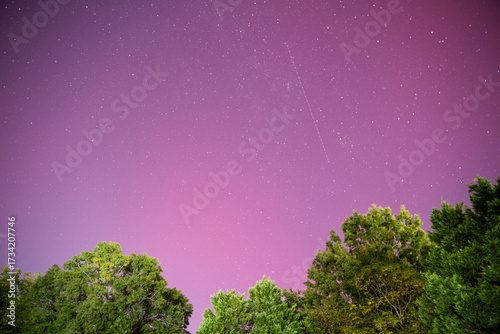 Lavender Skies 