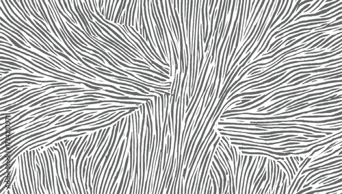 Abstract monochrome pattern of organic gray and white lines forming a textured surface.