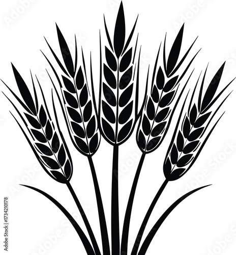 Cluster of five stylized black wheat stalks against a stark white background illustrating grain growth