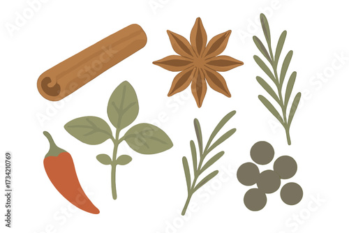 Essential aromatic culinary spices and fresh herbs including cinnamon, star anise, basil, rosemary, chili, and peppercorns
