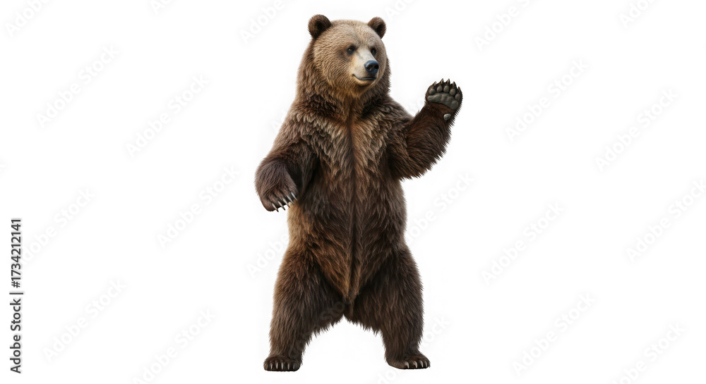 Obraz premium A brown bear standing on its hind legs with its right paw raised, isolated on transparent background
