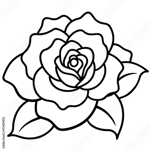 vector illustration of rose