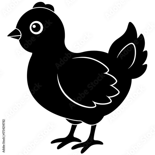 bird on a white background