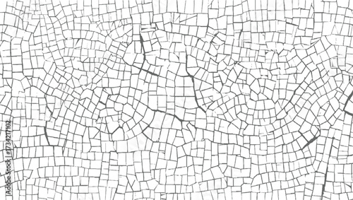 detailed abstract pattern of irregular grey lines forming cracked shapes on a white background.