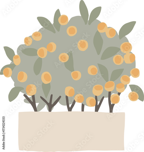 Green citrus orange bush clip art. Vector hand drawn cartoon illustration of summer mandarin tree