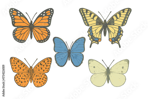 Assortment of colorful butterflies featuring various wing patterns and vibrant hues on a white background