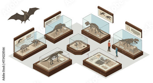 Isometric dinosaur museum exhibit with skeletal displays and visitors