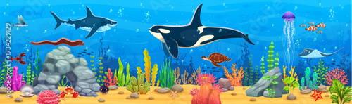 Underwater landscape game background with killer whale and stingray, shark and sea turtle, coral reefs and seaweeds. Vector gui interface level with vivid marine life, water depths and ocean creatures