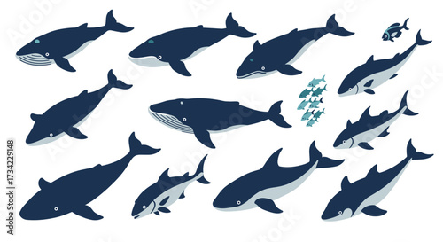 Stylized whale collection with minimalist ocean creatures in flat design