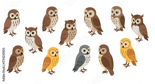 Diverse collection of cartoon owls on white background