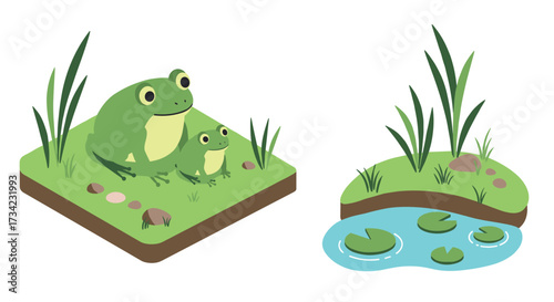 Isometric frogs with pond and grass elements in nature scene