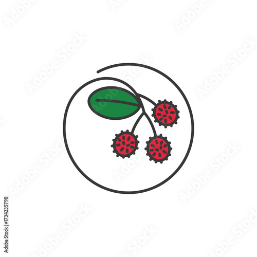 Tropical rambutan fruit with vibrant red spikes and leafy stem, ideal for organic snack branding, exotic harvest themes, or nature-forward culinary visuals. Sweet, wild, and eye-catching