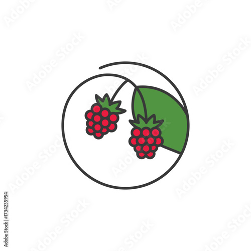 Raspberry duo with textured drupelets and leafy stem, ideal for garden-fresh branding, antioxidant-rich product labels, or nature-themed culinary visuals. Tangy, vibrant, and wholesome