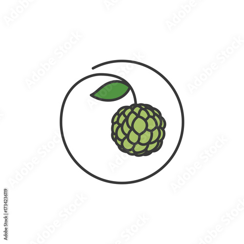 Green custard apple motif with scale-like texture and leafy stem, ideal for tropical produce branding, garden-grown packaging, or nature-inspired food visuals. Creamy, rare, and nutrient-rich