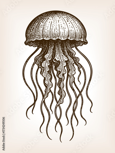 jellyfish with flowing tentacles and textured bell, ocean marine life in a vintage artistic style sketch engraving generative ai vector illustration. Scratch board imitation. Black and white image.
