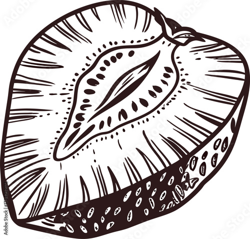 Hand drawn strawberry berry half illustration vintage engraved cross section botanical sketch with seeds and detailed texture