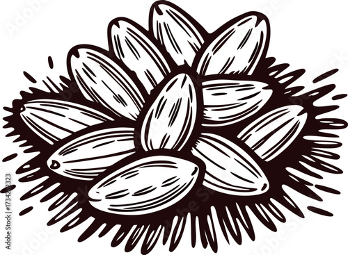 Hand drawn sketch of raw almonds in a pile isolated on white background, detailed vintage illustration