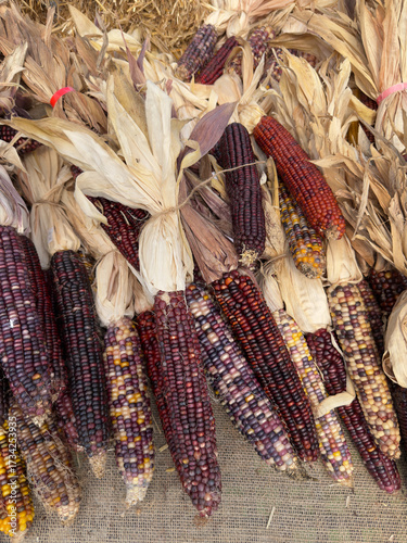 A small pile of Indian corn making a nice background.