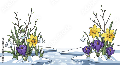 Spring Flowers Vector Illustration with Crocus Daffodil and Melting Snow
