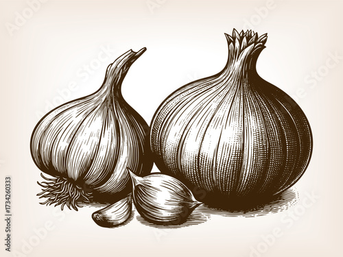 garlic cloves and onion bulbs, showcasing essential cooking ingredients for traditional, rustic, and healthy cuisine sketch engraving generative ai vector illustration. Scratch board. Black and white.