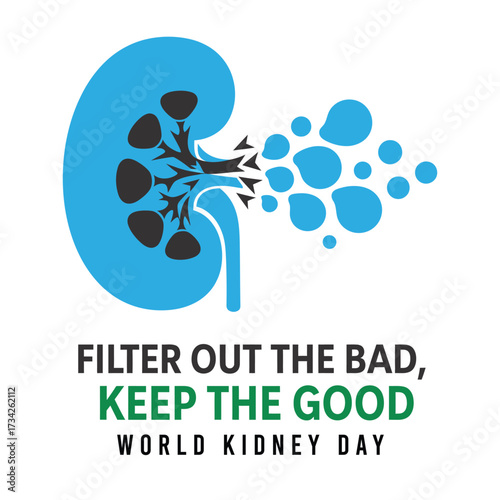 Blue kidney filtering liquid droplets organ gray