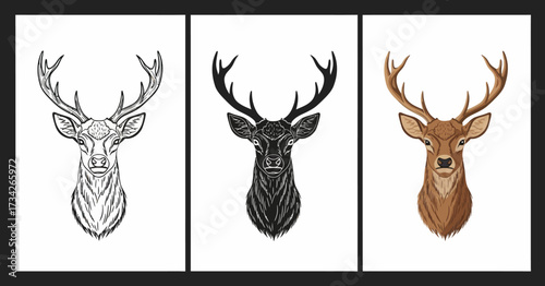 Stag Head Vector Illustration Set with Hand Drawn Sketch Silhouette and Realistic Color Styles