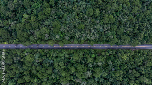 Aerial view road through the green tree jungle forest, Aerial view street asphalt road going through green forest, Adventure and travel ecosystem and ecology healthy environment and background.
