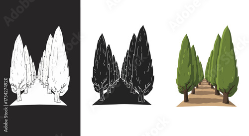 Stylized Cypress Tree Alley Vector Illustration Set in Color and Monochrome Styles