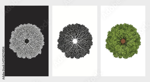 Tree Top View Vector Illustration Set for Landscape Architecture and Urban Planning