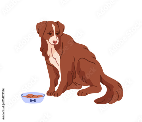 Sad Border Collie refuses eating dry dog food from bowl. Unhappy puppy doesn't want feeding. Depressed pup with disorder, psychological problem. Flat isolated vector illustration on white background.