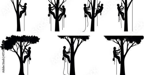 Tree climbing arborist silhouette set with safety gear, helmet, harness, rope techniques for pruning, maintenance, forestry and outdoor work