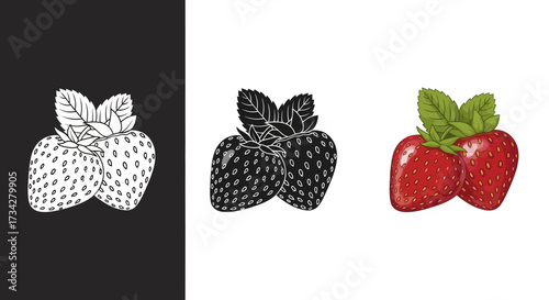 Detailed Strawberry Fruit Vector Illustration Set in Color Black and White Styles