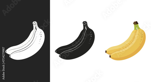 Banana Fruit Vector Illustration Set with Textured Color and Black and White Silhouette Icons