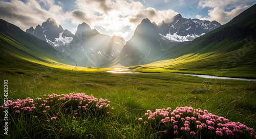 mountain landscape with flowers