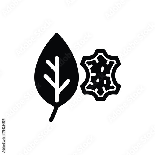 Close-up of a leaf and a snowflake symbolizing nature, winter, cold weather, and seasonal changes in a minimalistic style