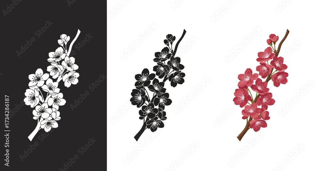 Naklejka premium Elegant Cherry Blossom Branch Vector Illustration Set with Pink and Silhouette Versions