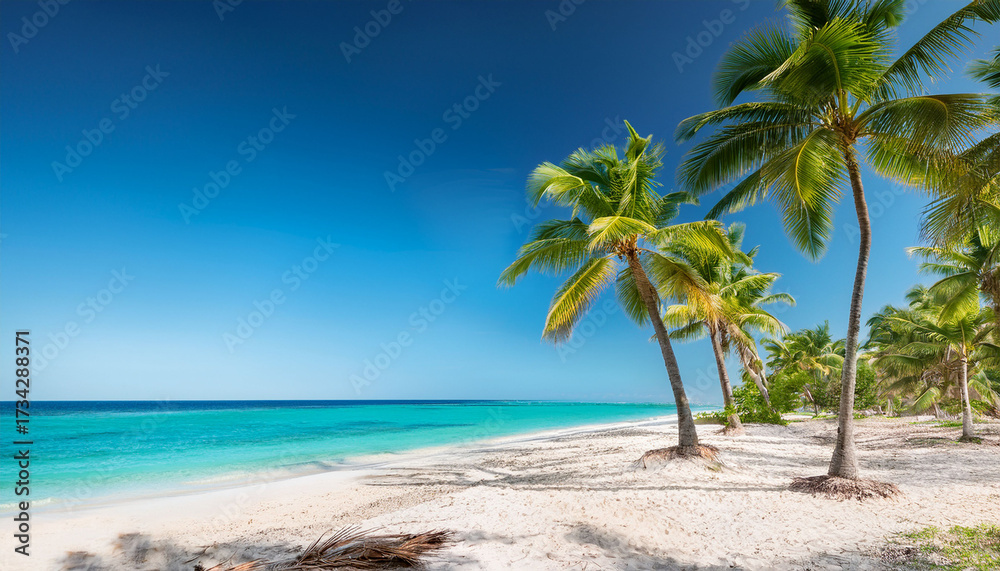 Obraz premium Tropical Paradise Palm Trees On Sandy Beach With Turquoise Ocean And Clear Blue Sky