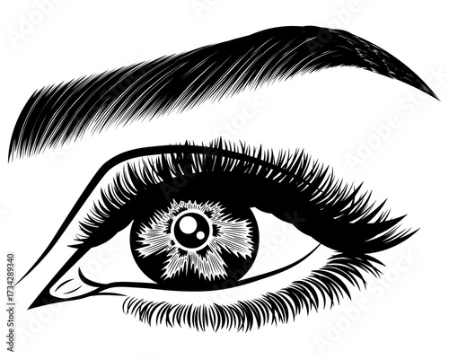 Illustration with woman's eye, eyelashes and eyebrow. Makeup Look. Tattoo design. Logo for brow bar or lash salon.