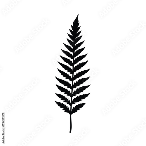 Minimalist black silhouette of a fern on a clean white background